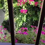Leyendas En La Axerquia