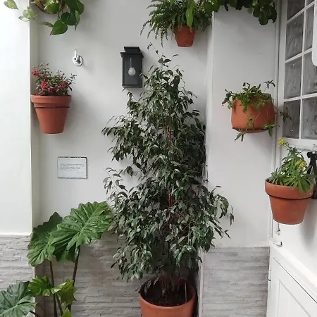 Ferienhaus Leyendas En La Axerquia Córdoba