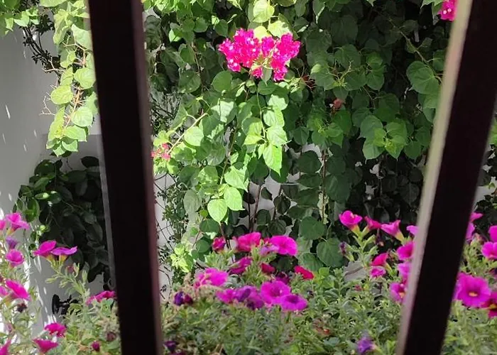 Leyendas En La Axerquia